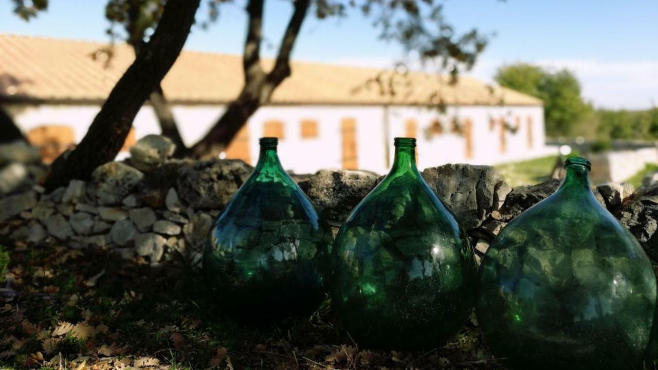 ルーヴォ・ディ・プーリア Tenuta Tedone Consoliniヴィラ エクステリア 写真