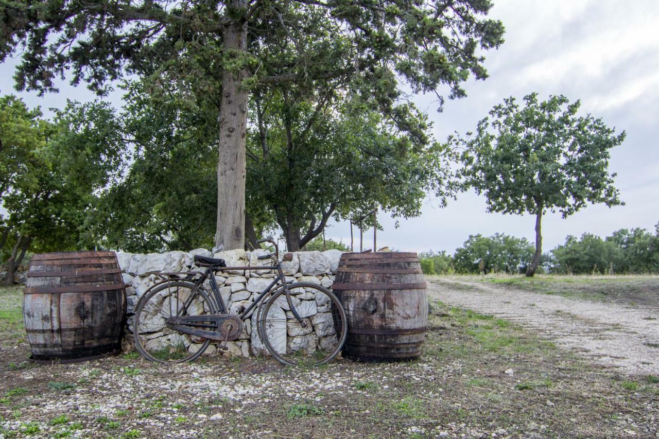ルーヴォ・ディ・プーリア Tenuta Tedone Consoliniヴィラ エクステリア 写真